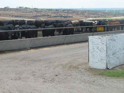 20070626-DodgeCityKS29-FeedLots