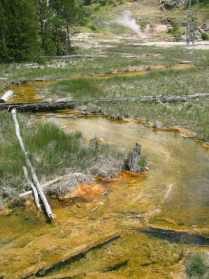 20070708-YellowstoneWY08-ArtistsPaintpots