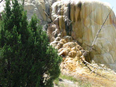 20070709-YellowstoneWY29-MammothSpring-RunningTower