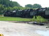 20070811-38-UnionIL-SteamLocos-Boneyard