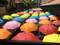 031D0060-2AFE-48E8-B1FE-37F8EDD9BDD6 1 105 c : Umbrellas